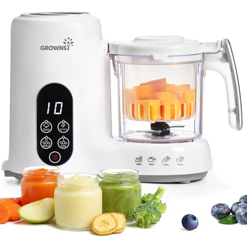 Blender For Pureeing Food