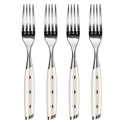 fork set steak