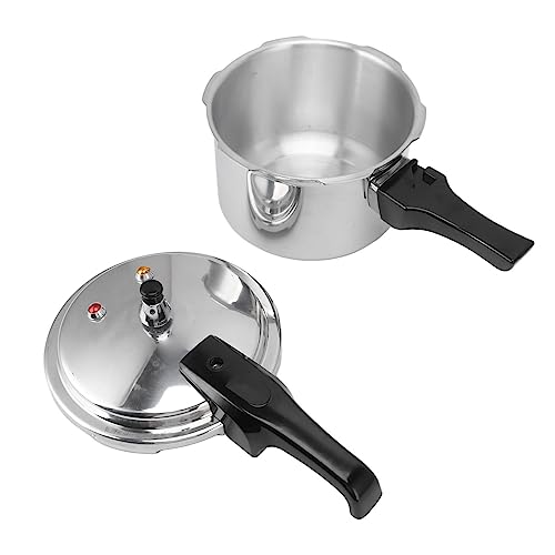 mini pressure cooker top pick